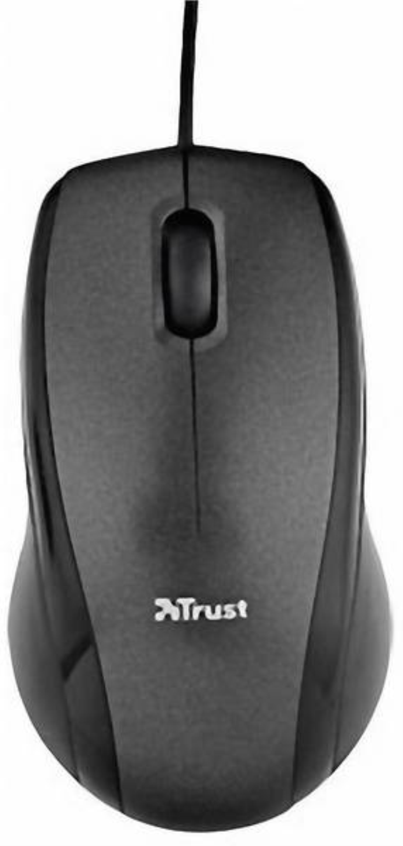 TRUST MOUSE TRUST OPTICAL CARVE 15862